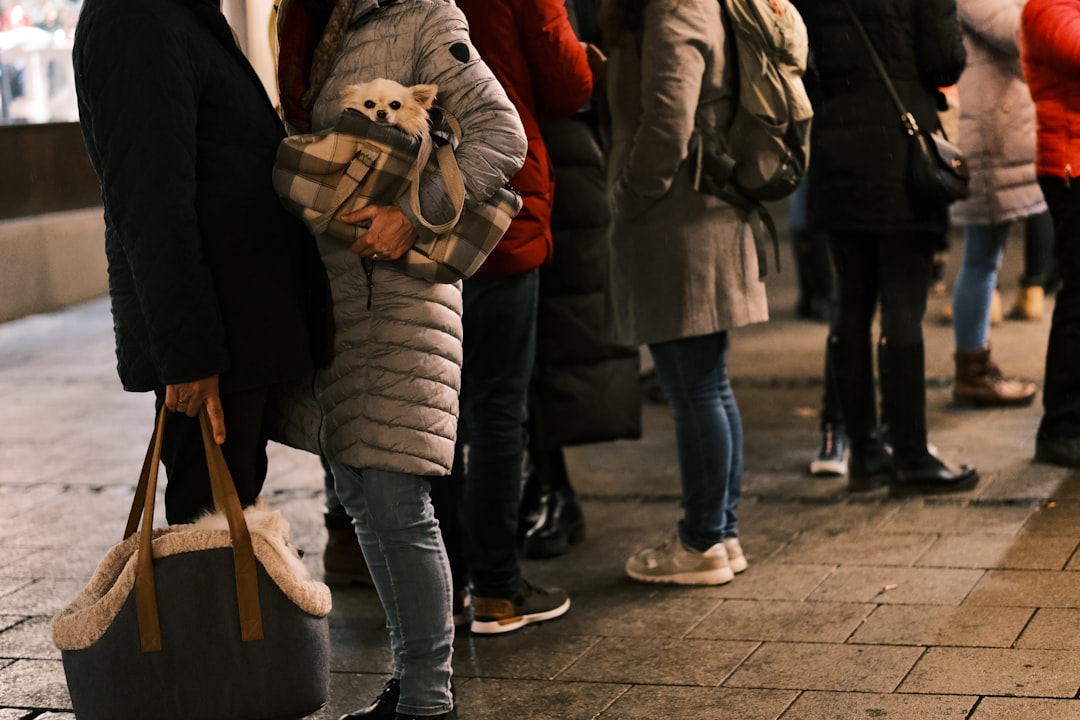 Le chômage, les entrepreneurs et la France qui se déchire : chronique d&rsquo;un dialogue impossible