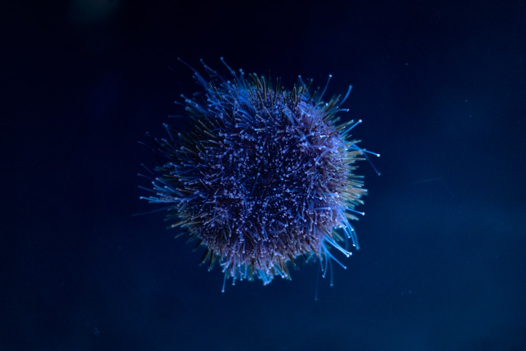 SARS-CoV-2 : anatomie d&rsquo;un virus très politique